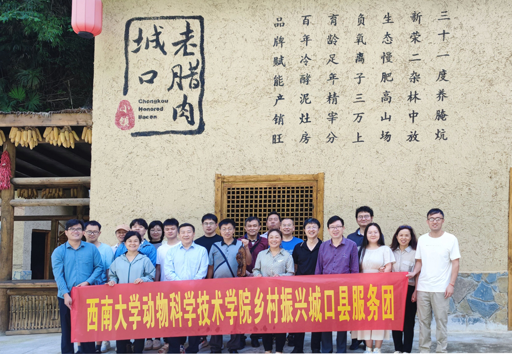 pa视讯官方集团