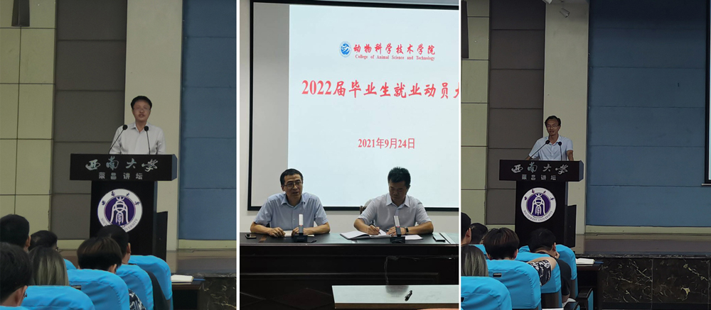 pa视讯官方集团