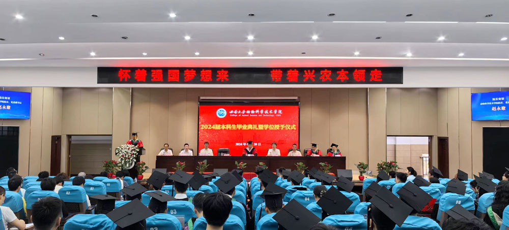 pa视讯官方集团