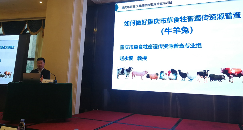 pa视讯官方集团