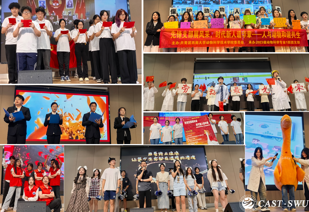 pa视讯官方集团