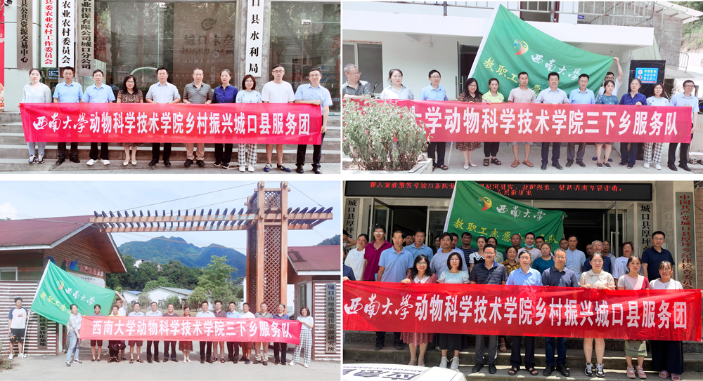 pa视讯官方集团