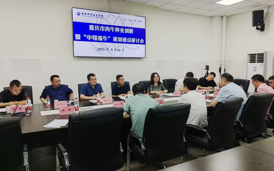 pa视讯官方集团