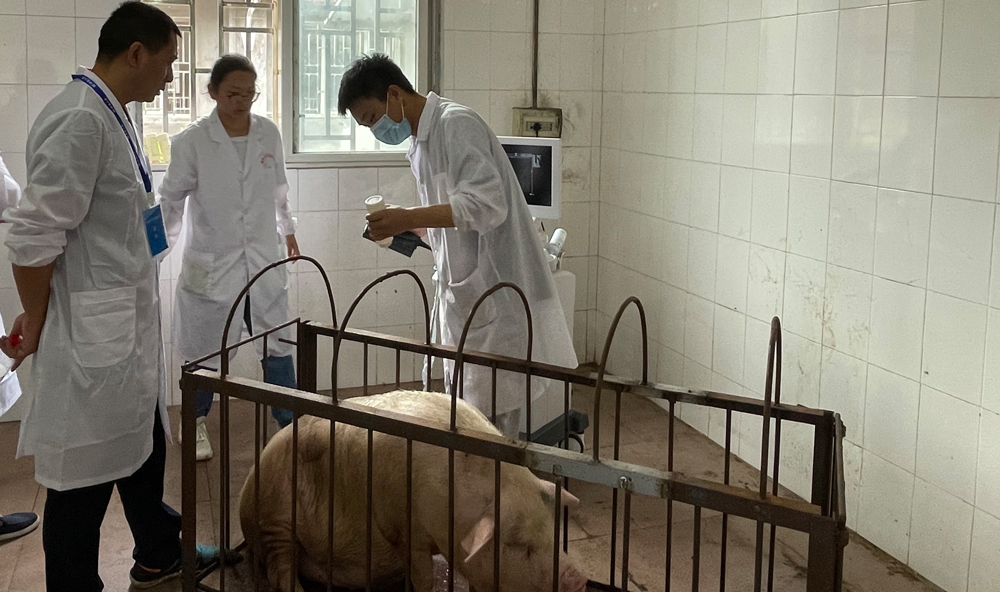 pa视讯官方集团