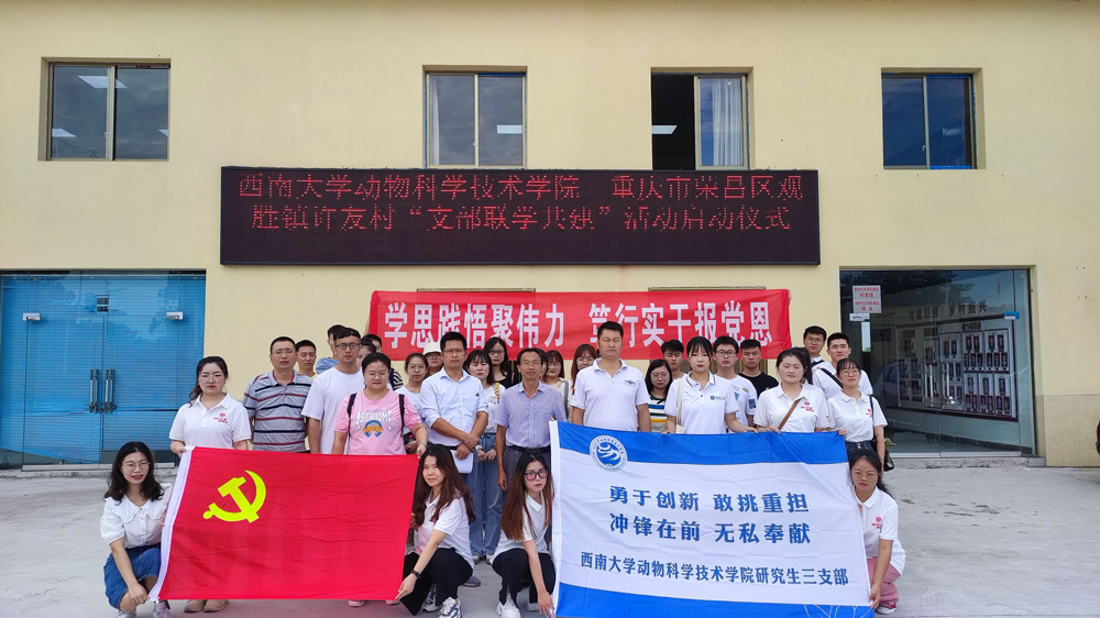 pa视讯官方集团