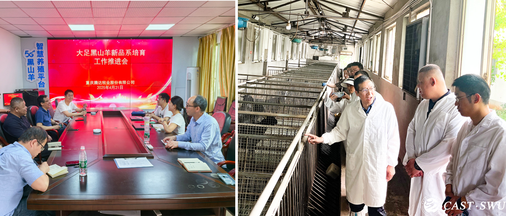 pa视讯官方集团