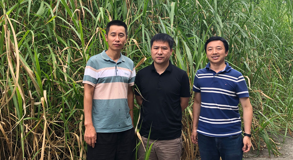 pa视讯官方集团