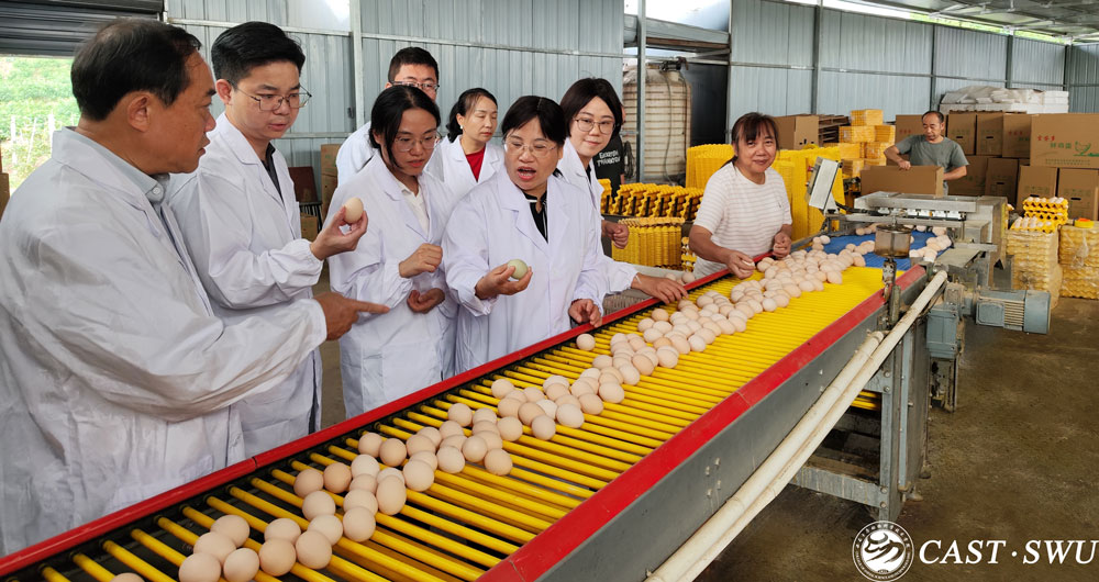 pa视讯官方集团