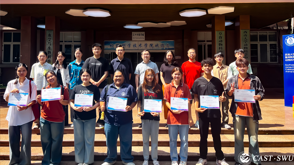 pa视讯官方集团