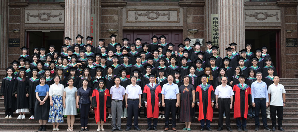 pa视讯官方集团