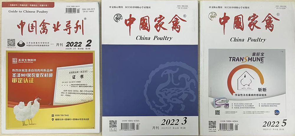 pa视讯官方集团