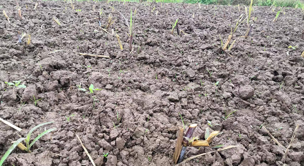 pa视讯官方集团