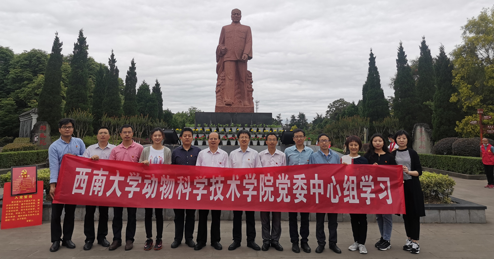 pa视讯官方集团