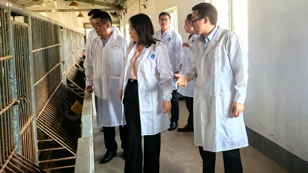 pa视讯官方集团