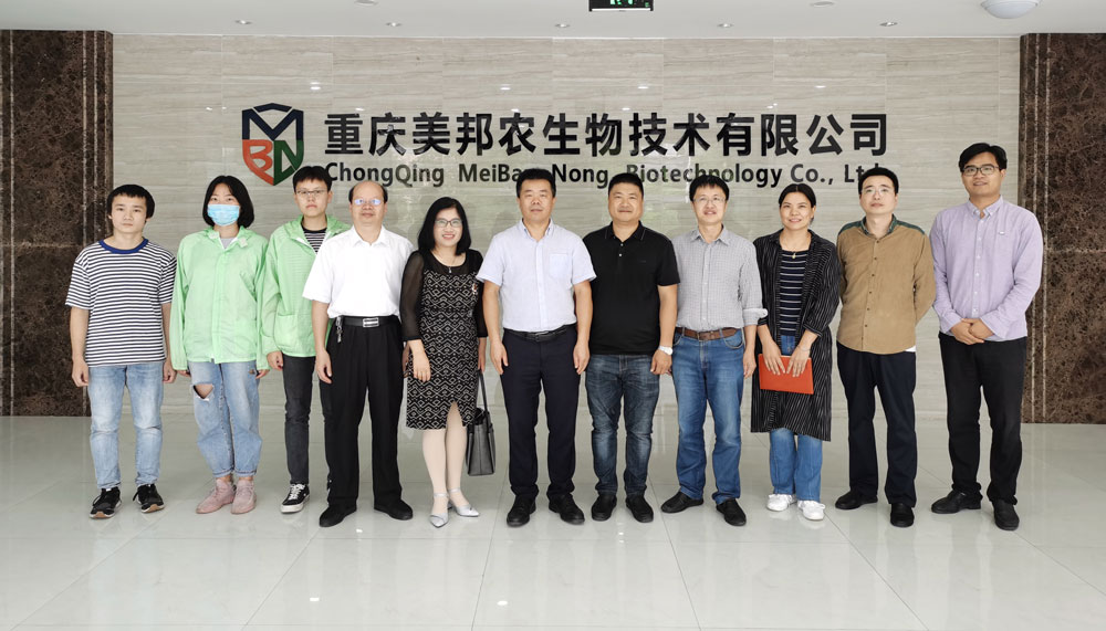 pa视讯官方集团