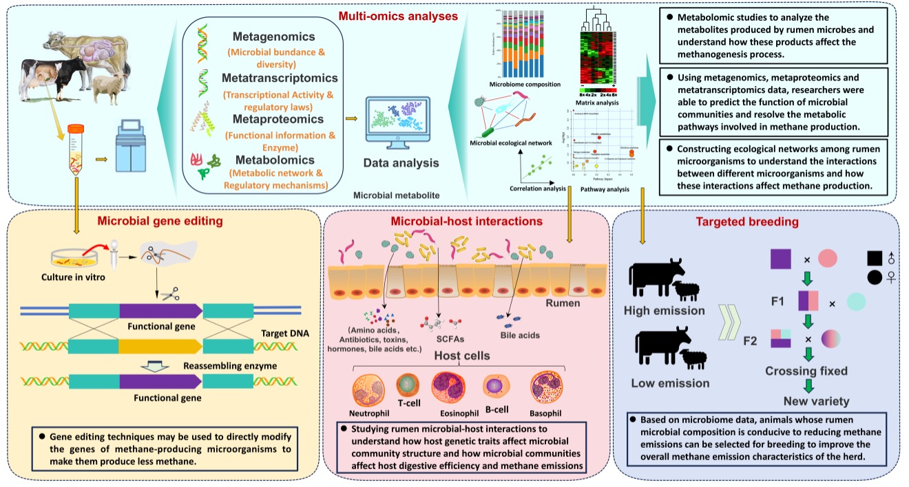 pa视讯官方集团