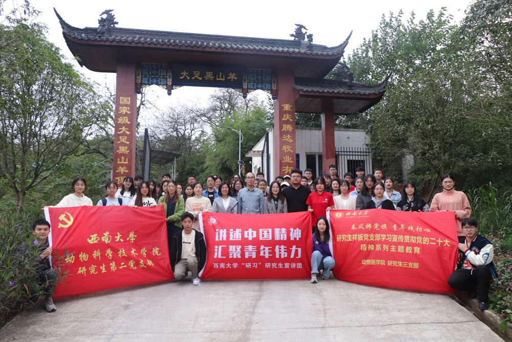 pa视讯官方集团