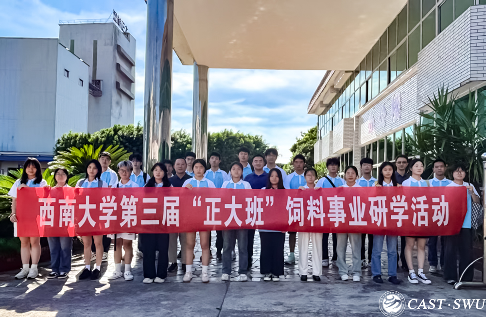 pa视讯官方集团