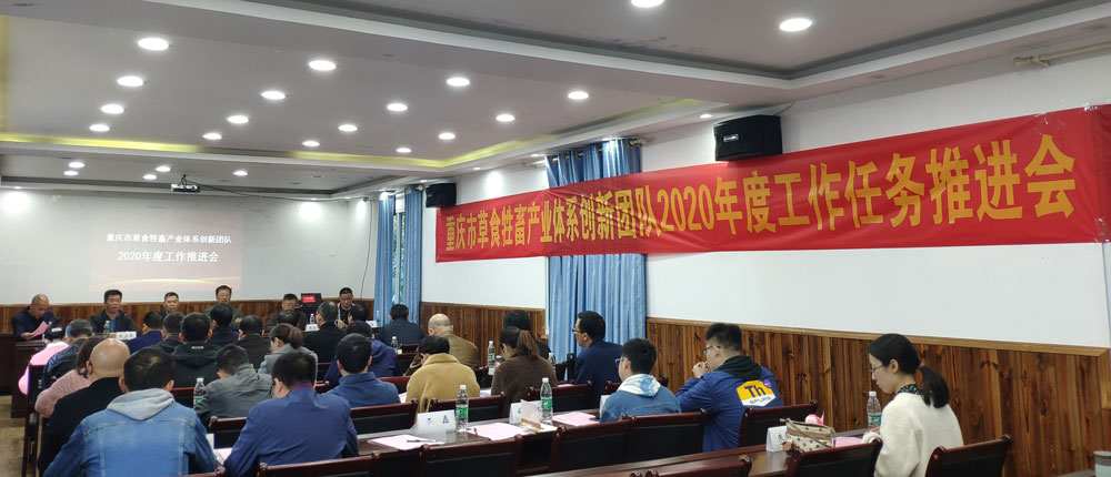 pa视讯官方集团