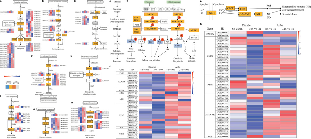 pa视讯官方集团
