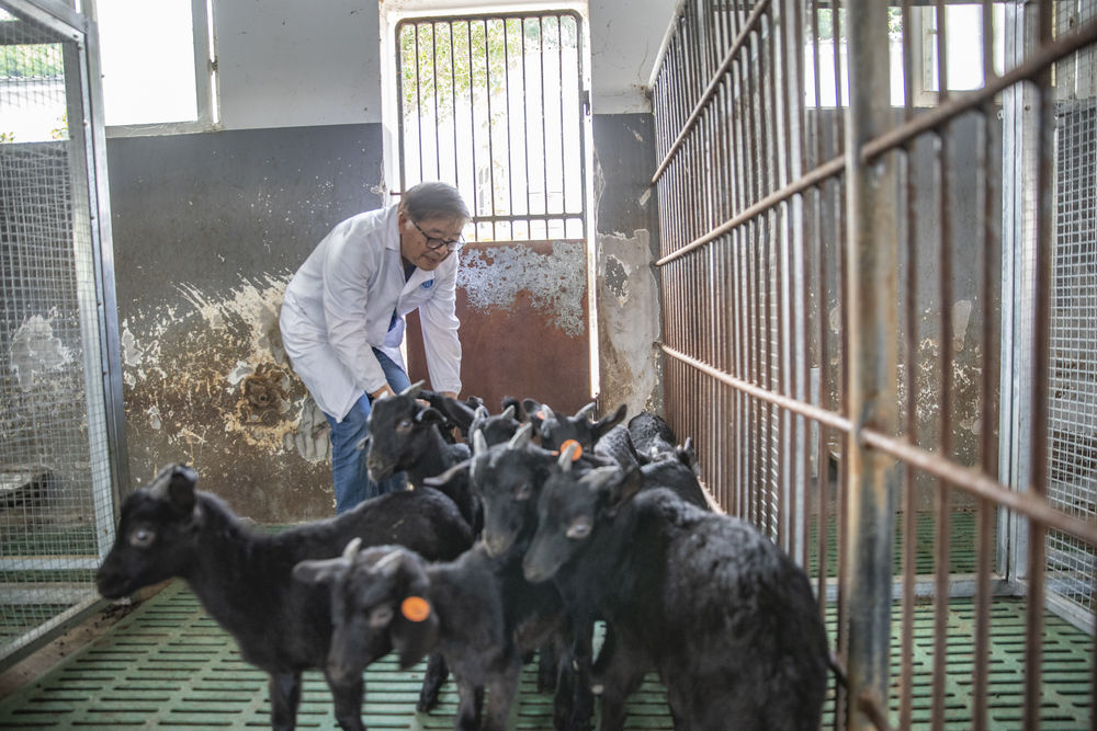 pa视讯官方集团