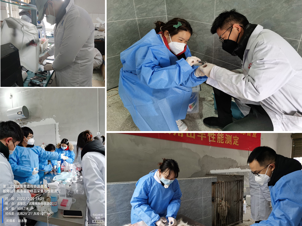 pa视讯官方集团