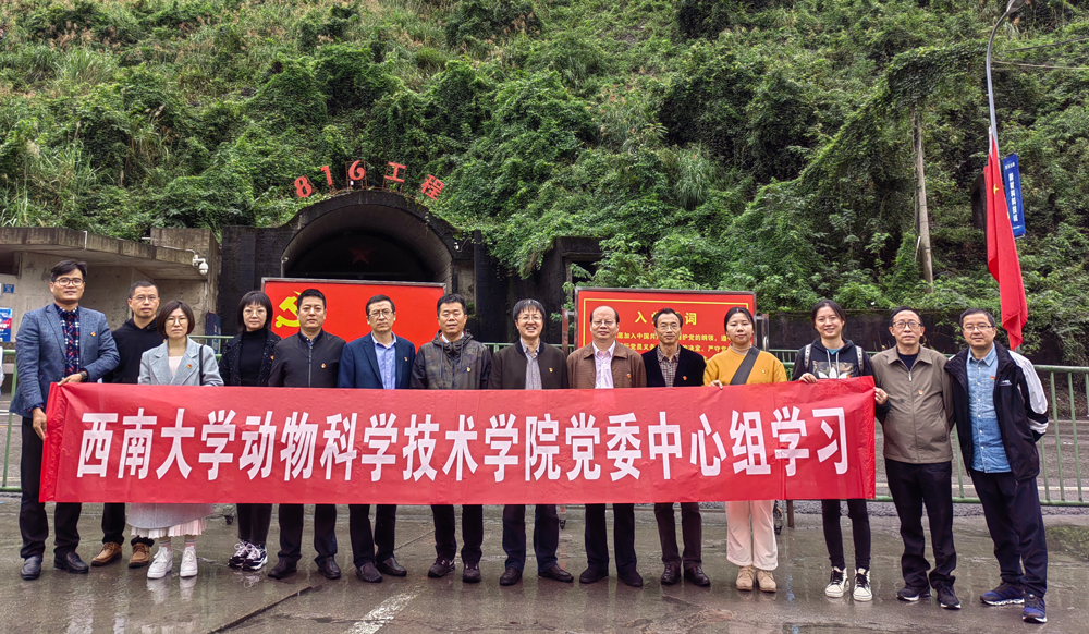 pa视讯官方集团