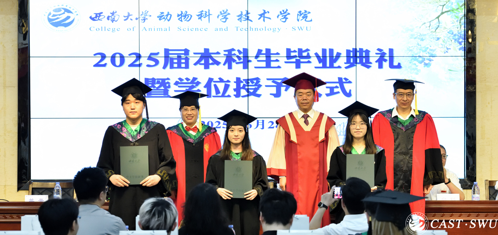 pa视讯官方集团