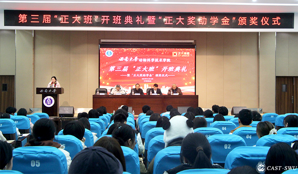 pa视讯官方集团