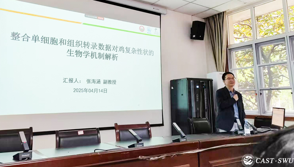 pa视讯官方集团