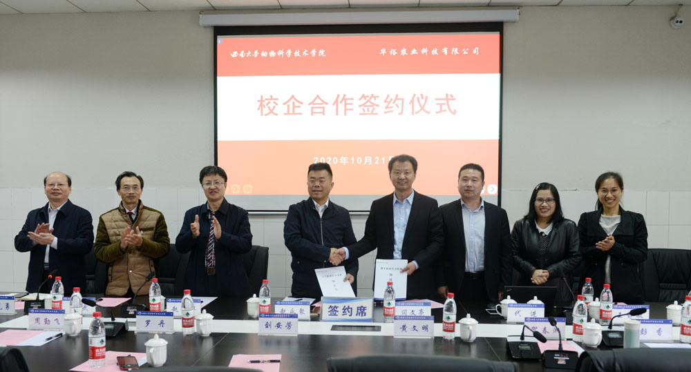 pa视讯官方集团