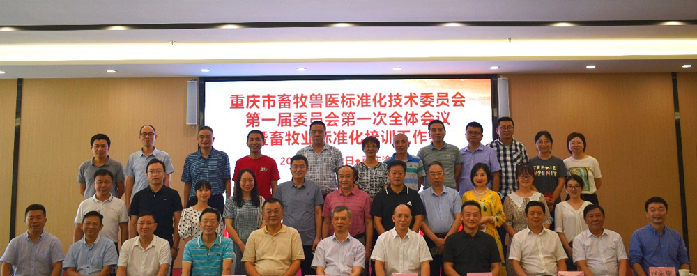 pa视讯官方集团