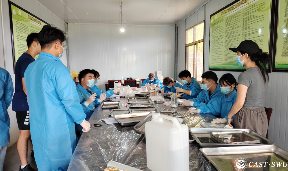 pa视讯官方集团