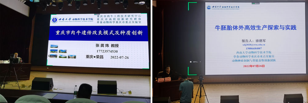 pa视讯官方集团