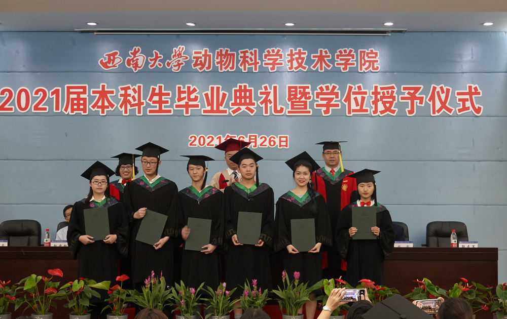 pa视讯官方集团