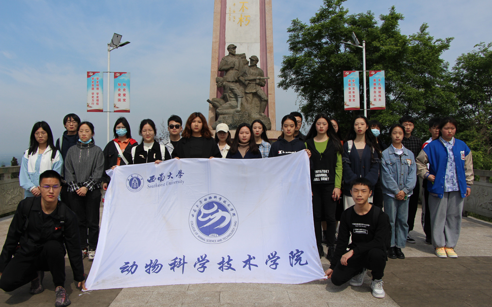 pa视讯官方集团