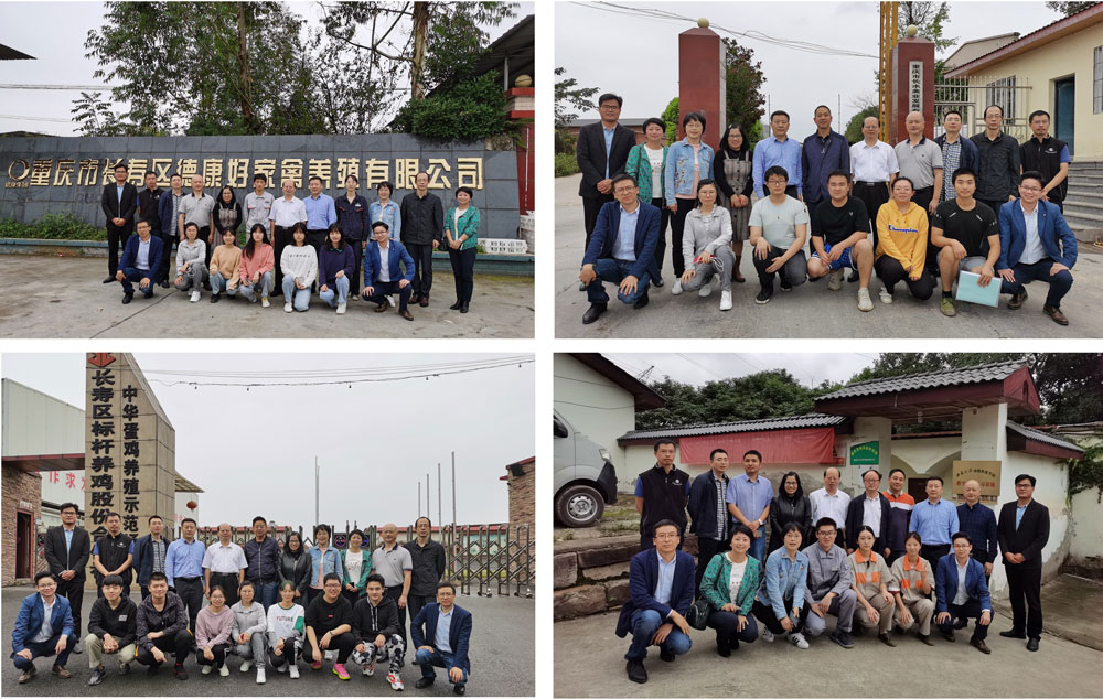 pa视讯官方集团