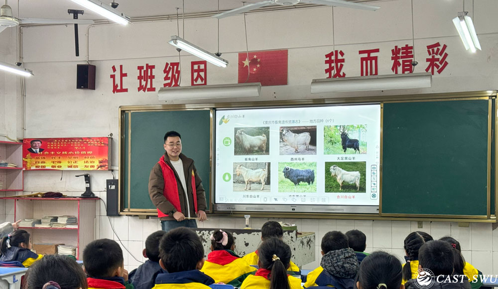 pa视讯官方集团