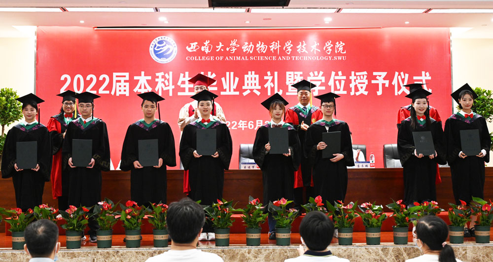 pa视讯官方集团