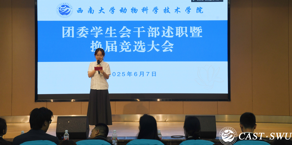 pa视讯官方集团