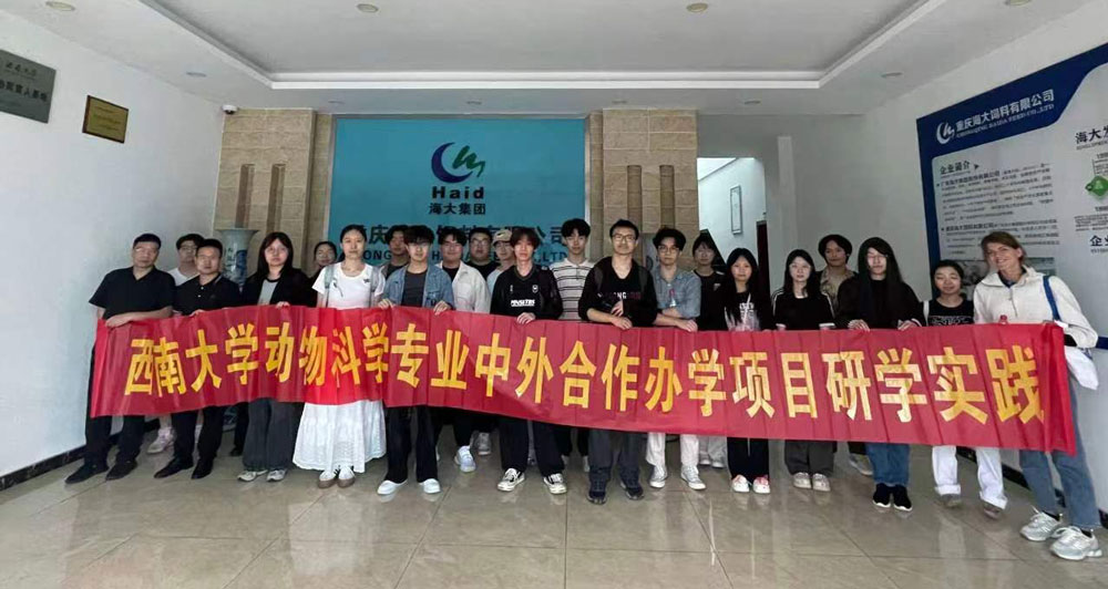 pa视讯官方集团