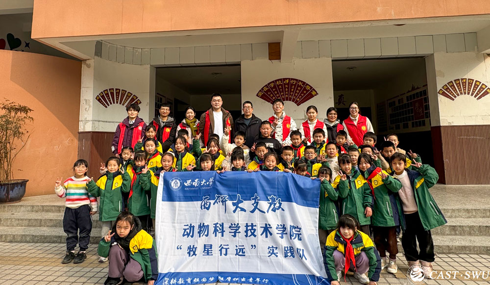 pa视讯官方集团