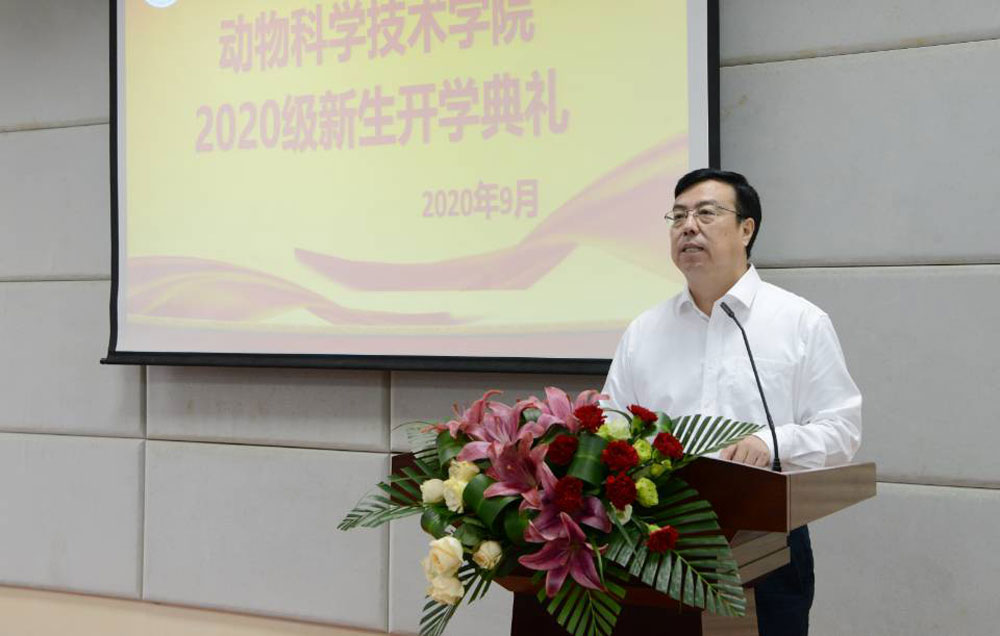 pa视讯官方集团