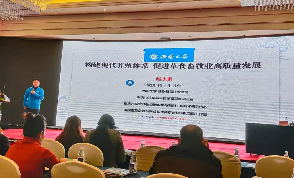 pa视讯官方集团