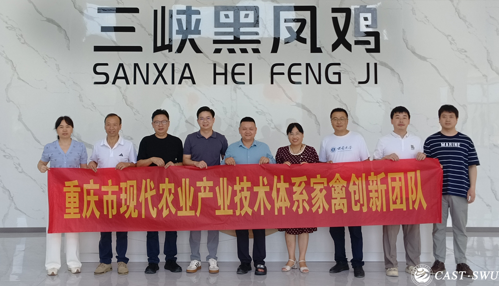 pa视讯官方集团