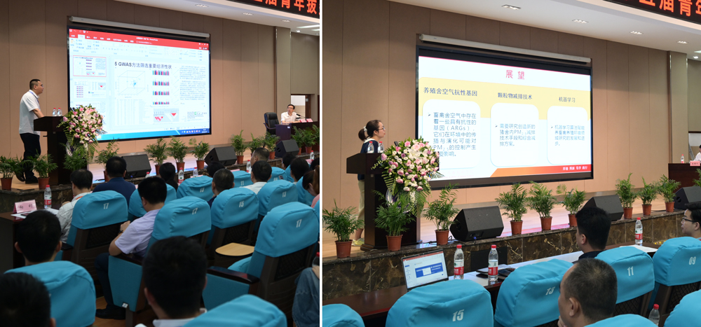 pa视讯官方集团