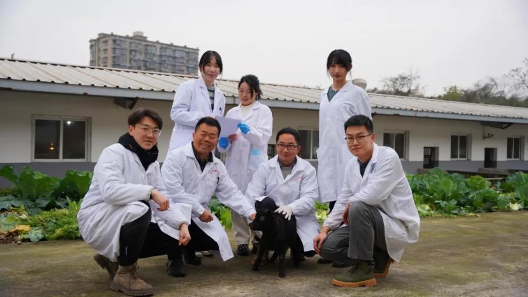 pa视讯官方集团