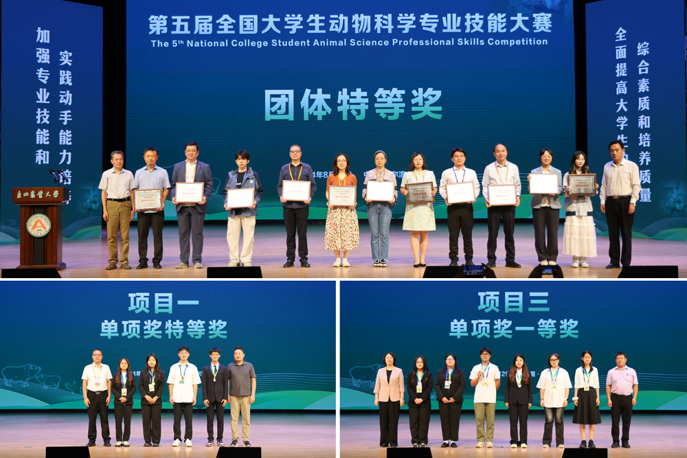 pa视讯官方集团