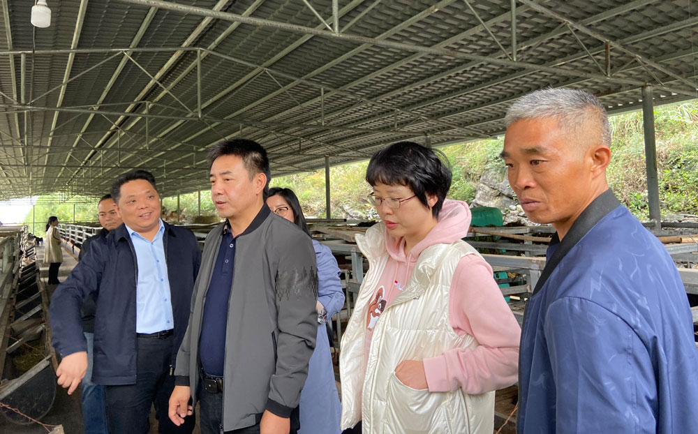 pa视讯官方集团