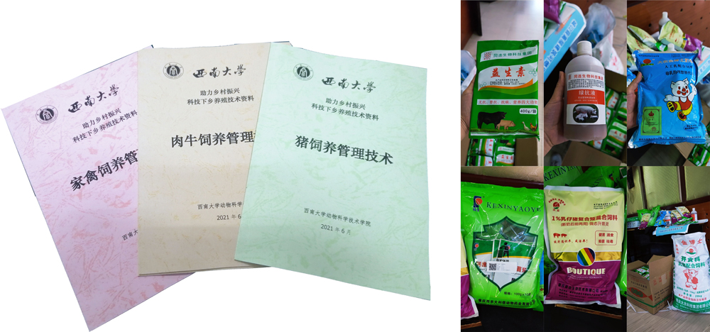 pa视讯官方集团